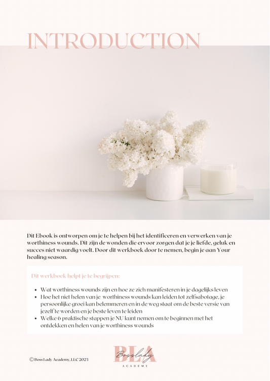 My healing season eBook