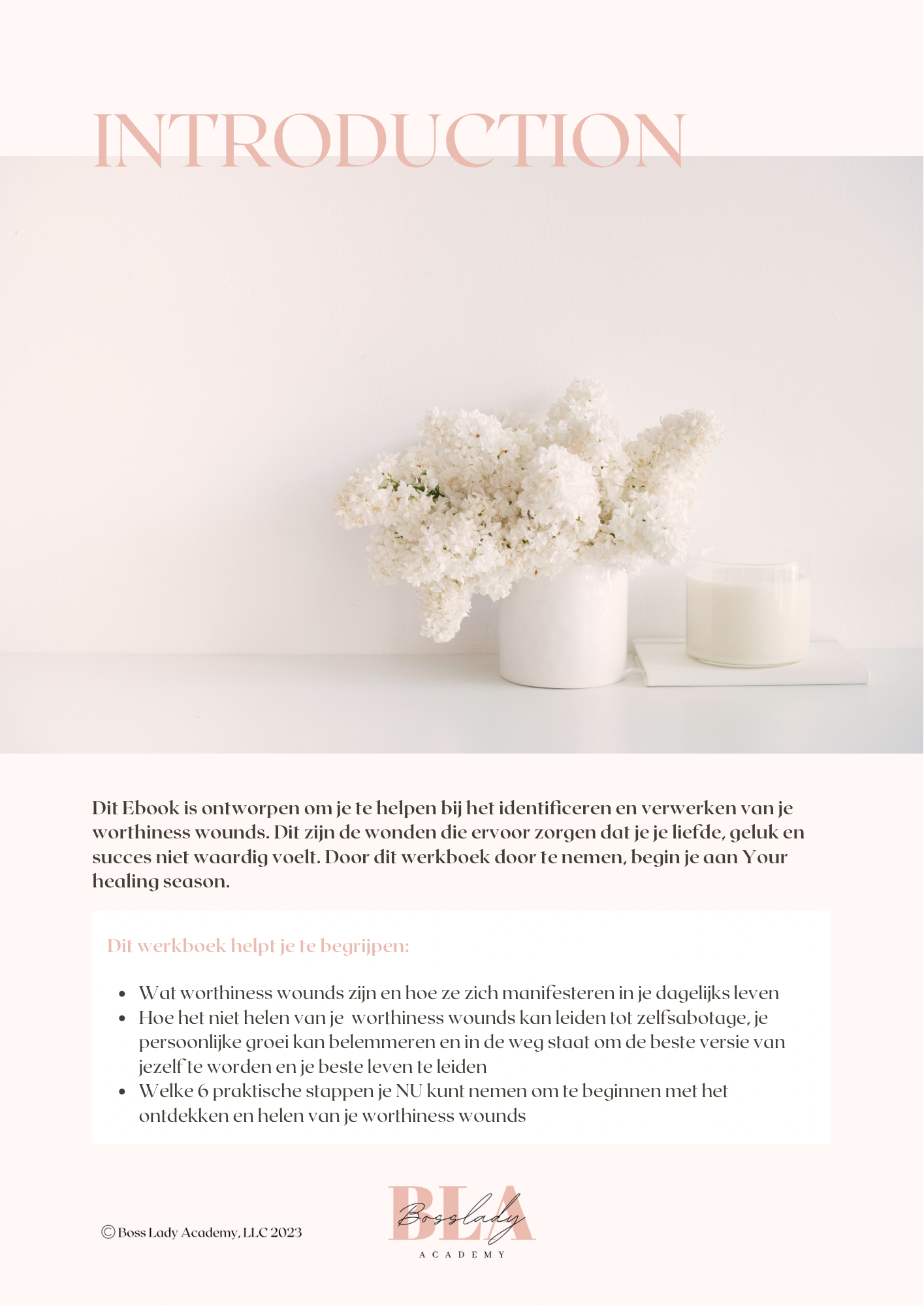 My healing season eBook