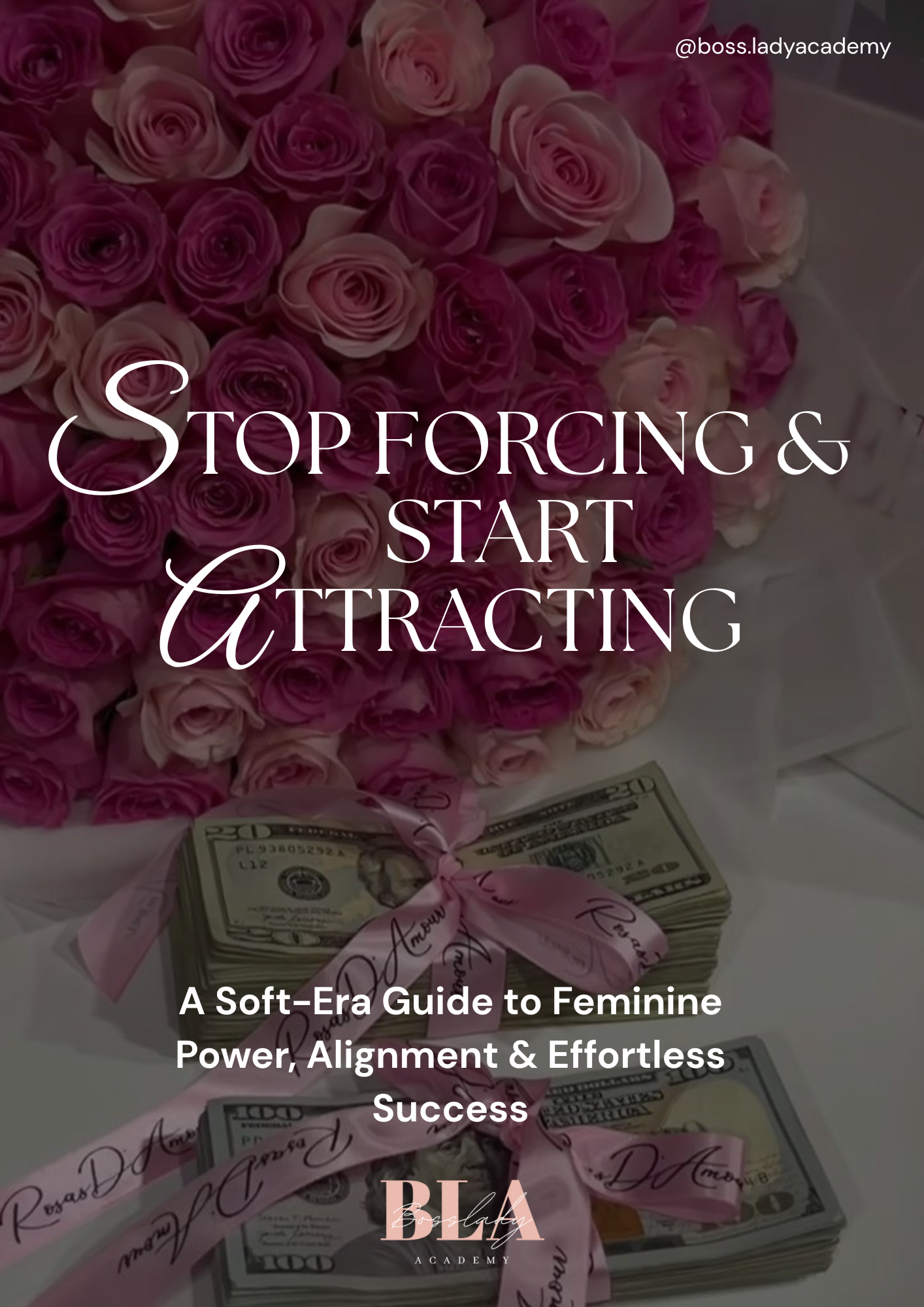STOP FORCING & START ATTRACTING guidebook